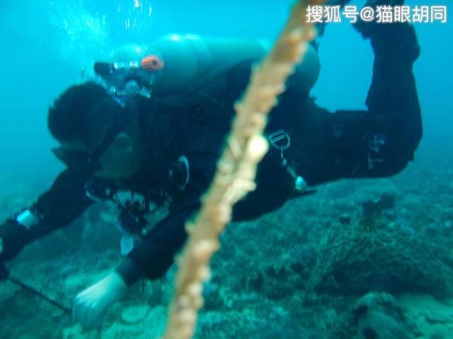 4年前，一农妇家中165万现金不翼而飞，一村民站出来：我知道