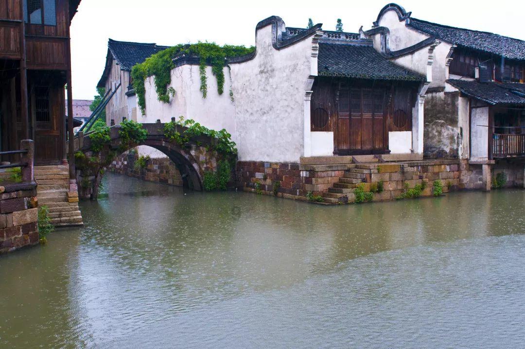 阿拉亚